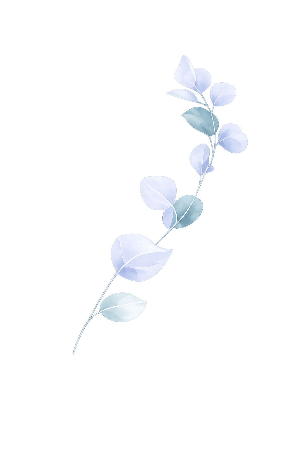 Décoration eucalyptus