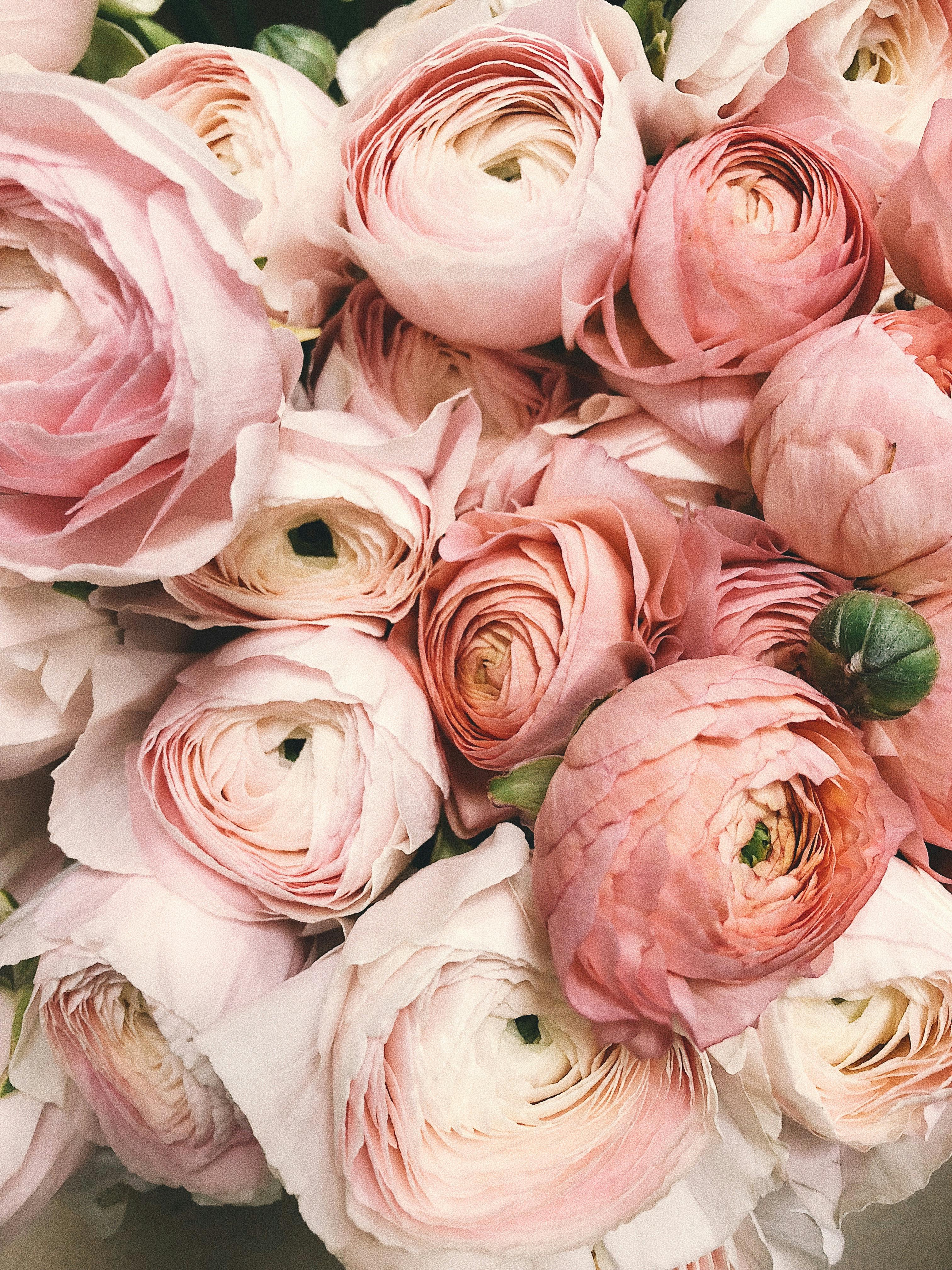 Fleurs de Saison : Le Guide Complet Pour Votre Mariage